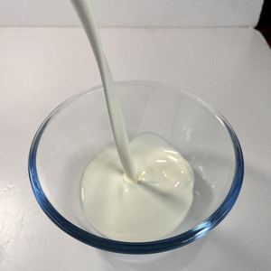 Polvere per Gelato Halal/ISO Certificata, Gusto Popolare, 1kg, Miscela in Polvere per Gelato alla <span class=keywords><strong>Vaniglia</strong></span> per Gelaterie o Macchine - Product Image 5