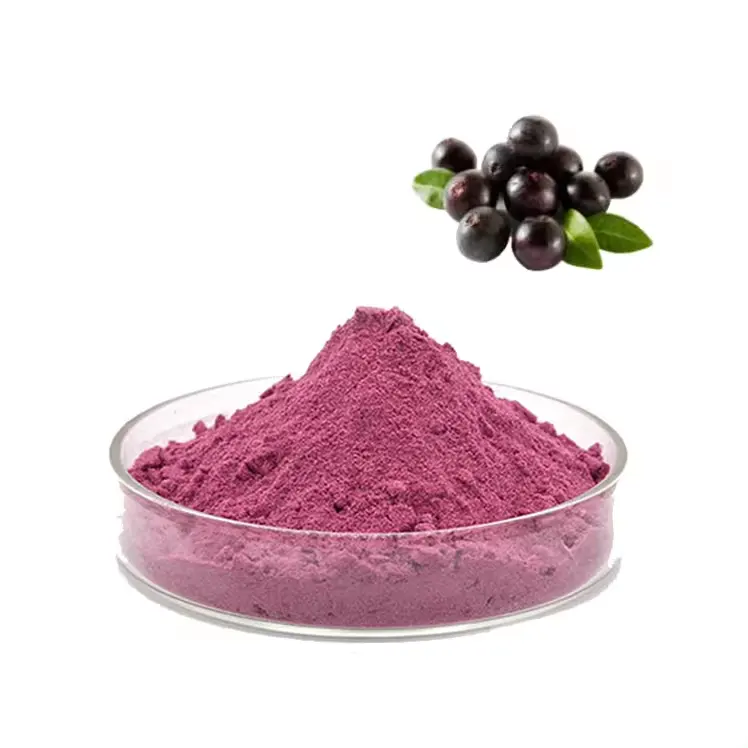 Natural Orgânico Puro Açaí Berry Extrato Em Pó Açaí Berry Suco De Frutas Em Pó