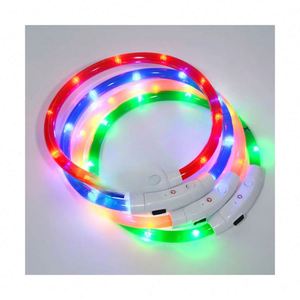 Collier LED Rechargeable Personnalisable et Coloré pour Chien - Style Romantique Ajustable, Extensible, Facilement Démontable, en PVC Durable pour Votre Animal de Compagnie - Product Image 1