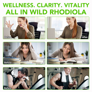 솔로트리 유기농 비건 홍경천 액상 드롭스 건강 보조 식품 100% 천연 홍경천 뿌리 추출물 팅크처 - Product Image 5