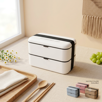 Boîte à bento personnalisée à double couche en PP avec couvercles, sangle élastique, récipient alimentaire réutilisable, couleur personnalisée, boîte à lunch portable, cadeau d'entreprise
