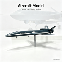 Modèle d'avion UAV personnalisé avec support