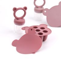 Ensemble de sucettes en silicone YLA sans BPA avec compartiment à glace et plateau pour fruits frais, moule à glace en forme de dessin animé pour l'alimentation aux fruits frais