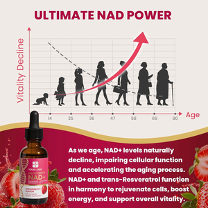 Bổ sung tiên tiến liposomal hot-bán Booster IV 300mg 500 500mg 1000mg nicotidamide Y Resveratrol NAD giọt chất lỏng - Product Image 2