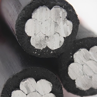 Câble d'alimentation aérien extérieur XLPE torsadé et regroupé en aluminium 0,6/1 kV pour transformateur d'éclairage public