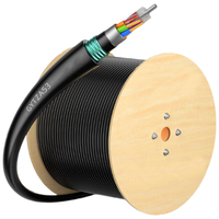 Haina GYTZA53 12-Core Single Mode Armored Fiber Optic Cable Flame Retardant Loose Tube Stranded FRP Communication Cables