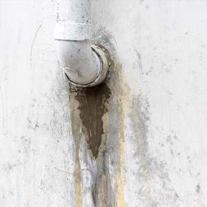 Scellant imperméable <span class=keywords><strong>pour</strong></span> étangs GoMix, sûr <span class=keywords><strong>pour</strong></span> les poissons et les plantes, membrane imperméable <span class=keywords><strong>pour</strong></span> étangs et éléments aquatiques - Product Image 6