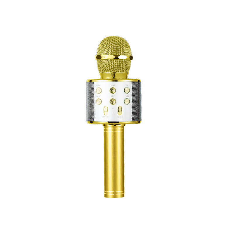 Горячая Распродажа BT WS-858 микрофон домашней вечеринки WS858 караоке с BT динамик с микрофоном Поддержка TF/USB/MP3Wireless переносной микрофон