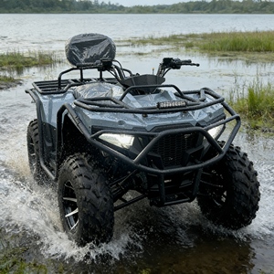 Buggy Todoterreno 4x4 de Alta Calidad en Oferta, Buggy Todoterreno de 250cc con Tracción en las 4 Ruedas para Escalar Dunas de Arena - Product Image 2