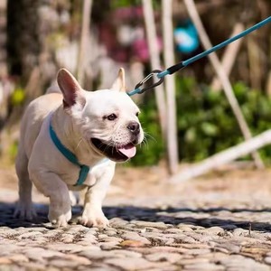 12PCS Metal Carabiner <b>Clip</b> Set Pink Tourist Small <b>Hooks</b> Outdoor Fishing Camping Cycling Hiking Multi Tool Keychain Buckle - Product Image 3