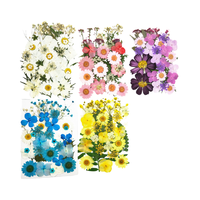Vente flash : Kits de fleurs séchées pressées pour Halloween, diverses créations artistiques DIY, scrapbooking, résine époxy, moules à bijoux, bougies/savons