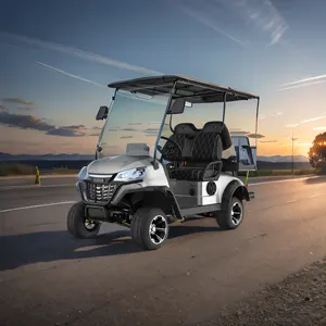 Özelleştirilmiş profesyonel tasarım elektrikli Golf kulübü sepeti lityum pil 4 koltuk elektrikli Golf arabası avcılık sepeti