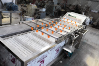 Commerciële groente-fruit-garnalen reinigings- en bubbelfruitwasmachine