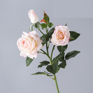 MSH Texture réaliste et naturelle, rose impériale hydratante pour le bureau - Product Image 3