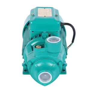QB 60 70 Surface Water Pressure Pumps Domestic Water Pump