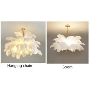 Ragazza nordica di struzzo in piuma di arte salotto <span class=keywords><strong>lampadario</strong></span> camera da letto lampada a sospensione per interni <span class=keywords><strong>lampadario</strong></span> decorazione per la casa lampade a soffitto - Product Image 6