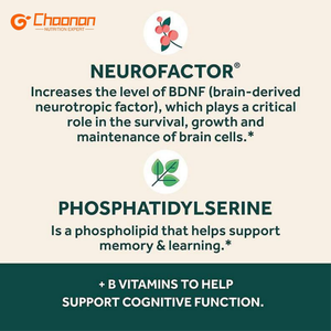 כמוסות ויטמין B2+B12+פולאט הניתנות להתאמה אישית - תוסף תזונה לתמיכה בבריאות המוח - Product Image 5