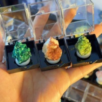 Boîte de spécimens de cristaux naturels en gros : rubis, améthyste, corail, agate druzy, azurite, malachite, pyrite, tourmaline – Cadeau idéal