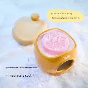 Nid en céramique pour <span class=keywords><strong>hamsters</strong></span> dorés Abri d'été frais avec maison à neige et glacière Caractéristiques Fournitures décoratives pour petits animaux - Product Image 1