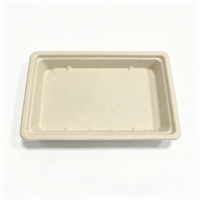 Afbreekbare, recyclebare, wegwerpbaar rechthoekig sushi- en fruitplateau, stapelbaar, geschikt voor magnetron, van bagasse, voor fastfood.