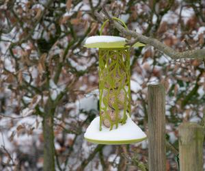 Esschert Design Toit vert Mangeoire pour oiseaux en tube pour l'extérieur Chiffchaff Suetball Silo - Product Image 4