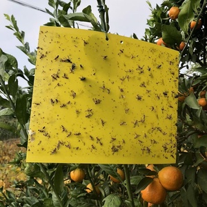 Pièges à colle jaunes super puissants pour dossiers, moustiques, moucherons et insectes volants - Vente en gros pour la maison, le jardin et l'agriculture - Product Image 4