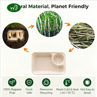 Contenant alimentaire en bagasse de canne à sucre compostable personnalisé VVG, vente en gros, boîte à lunch jetable à compartiments avec couvercle pour plats à emporter