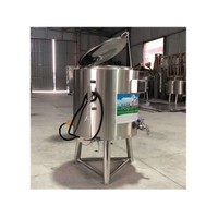 Pasteurisateur de lait domestique 30L 100L 200L 300L
