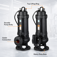 Pompe submersible à double canal en acier inoxydable et fonte, haute performance, pour drainage des eaux usées industrielles en usine, OEM