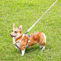 Meilleures ventes d'accessoires pour animaux de compagnie Nouvelle sangle de poitrine pour chien confortable et respirante Trois ensembles