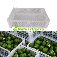 Paniers pliants en plastique fournis par le fabricant Boîte d'emballage d'avocat Caisses d'expédition Conteneur d'emballage de fruits