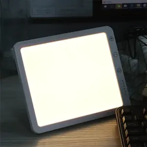 Luce di terapia a LED personalizzata dimmerabile a temperatura di colore con lampada triste per terapia fisica - Product Image 5