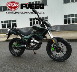 <span class=keywords><strong>Moto</strong></span> tout-terrain de voyage et d'aventure, deux roues Vechiel, EURO cee EFI <span class=keywords><strong>Trail</strong></span>, TEKKEN <span class=keywords><strong>250cc</strong></span> - Product Image 2