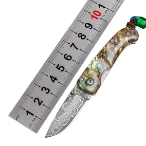 Damascus Steel Everyday Fishing Hiking Pocket Knife for Collectible Gift Folding Knife with Abalone Shell Handle