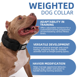 Collier d'entraînement réglable en nylon réfléchissant et polyester pour grands chiens – Équipement moderne de fitness pour animaux de compagnie avec fonctions d'entraînement lesté - Product Image 3