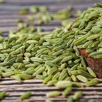Graines de fenouil entières propres à faible teneur en impuretés, fournie par l'usine chinoise, expédition en vrac par conteneur, épice Halal pour le marché africain