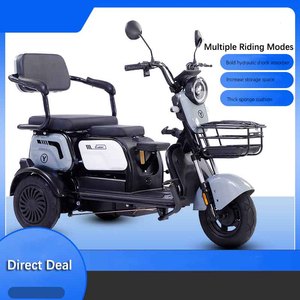 Vente en gros 600W48V ménage tricycle électrique vélo intelligent tricycle électrique scooter <span class=keywords><strong>pour</strong></span> <span class=keywords><strong>personne</strong></span> à mobilité réduite - Product Image 5