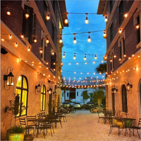 Guirlande lumineuse décorative S14 à ampoules LED, prix usine Chine, pour extérieur, Noël, arbre de Noël, fêtes, événements, personnalisable