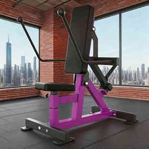 Équipement de fitness pour salle de sport, machine de musculation commerciale, poids, TRICEP KICKBACK/<span class=keywords><strong>DIB</strong></span>, vente chaude avec le dernier produit - Product Image 3
