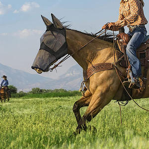 Fábrica al por mayor por encargo de alta calidad a prueba de mosquitos transpirable nuevas impresiones máscara de caballo suministros ecuestres equipo de caballo - Product Image 4
