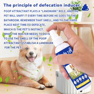 Spray d'apprentissage de la propreté pour chiots 100 ml - Aide efficace à la propreté, corrige les mauvais habitudes de défécation, guide les animaux vers un endroit désigné pour la propreté - Product Image 5