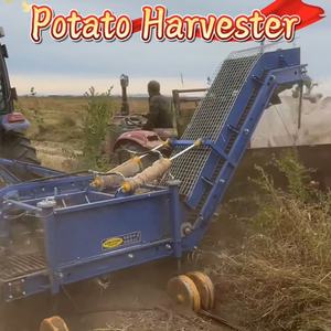 Fábrica Agrícola 4UDS-90 Carregamento Automático Combine Batata e Alho Harvester - Product Image 6