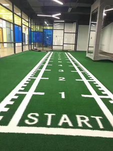 Logo personalizzato ad alta densità colorato erba sintetica palestra erba sintetica/bilance Fitness e slitte - Product Image 6