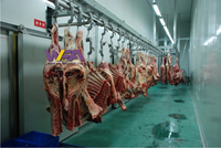 Meilleure vente, Machine d'abattage de mouton/bétail islamique avancée, Abattoir de vache, équipement d'abattoir Mobile à bas prix