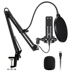 Professional Condenser Microphone Studio Recording With Shock Mount Arm Scissor Stand P op Filter