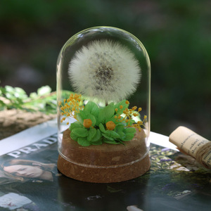 Bomboniere Artigianali per Matrimoni e Feste, Fiori di Tarassaco Conservati Sotto Cupola di Vetro, Decorazioni per Tavoli, Regali Floreali Preservati - Product Image 2