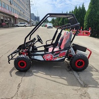 Karting tout-terrain - Kartings électriques pour adultes à partir de 5 ans, 48V 500W 35 km/h, utilisation en extérieur, buggy tout-terrain