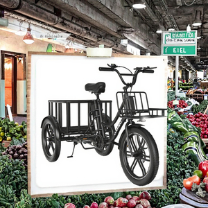 Triciclo elettrico da carico 48V 18Ah EGO 03 comodo e stabile da guida a 5 velocità cestini anteriori posteriori 250W adulti 120kg City Bike - Product Image 3