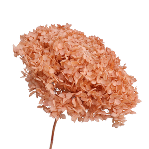 Fiori di ortensie all'ingrosso fiori secchi conservati artificiali fabbrica di fiori secchi decorazioni di nozze colori multipli fiori di ortensia - Product Image 3