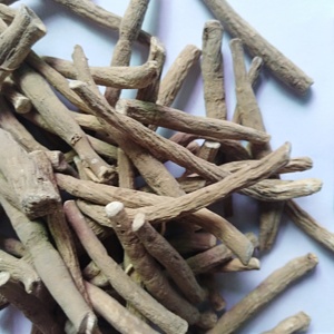 Racine de cerise d'hiver 100% naturelle crue séchée Racines de ginseng indien à vendre - Product Image 5